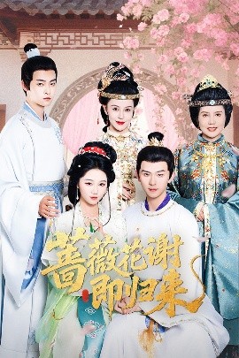 51视频《蔷薇花谢即归来》免费在线观看