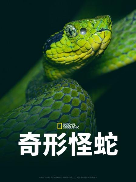 51风流《奇形怪蛇》免费在线观看